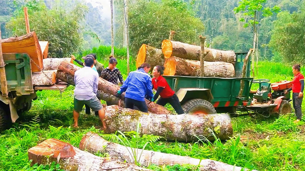 Young Couple Working Together – Transporting Heavy Logs with Buffalo & Tractor,  Planting Flowers