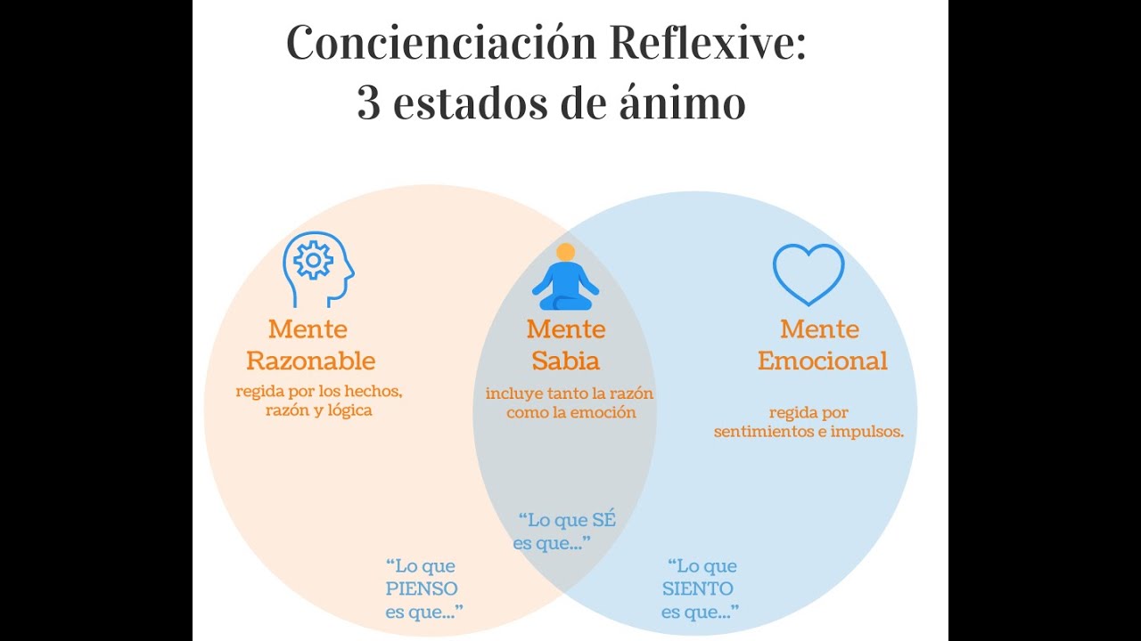 Three Mind State Three States of Mind - Spanish - YouTube