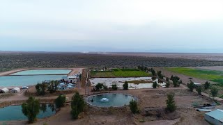 Green Environment And Fish Farm In The Heart Of The Desert