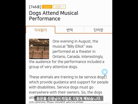 한글자막삽입편집 쌤플영상