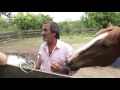 Diego D´angelo y sus caballos