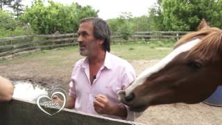Diego D´angelo y sus caballos