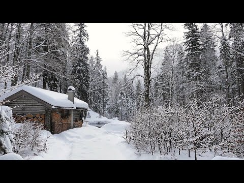 Video: Qual è il mese più piovoso?