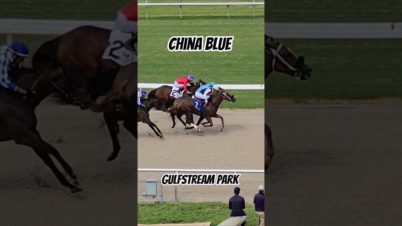 China Blue and apprentice Yolber Torres capture race 8 for José Francisco D'Angelo.