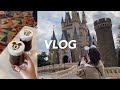 [VLOG]ディズニーランド_食べ放題頑張ったしベイマックス最高すぎた✌️ _ 学生
