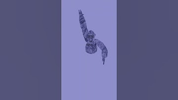 Gorilla tag 3D animation test 2 (Blender) #gorillatag #3danimation #blender #gtag #vr #shorts