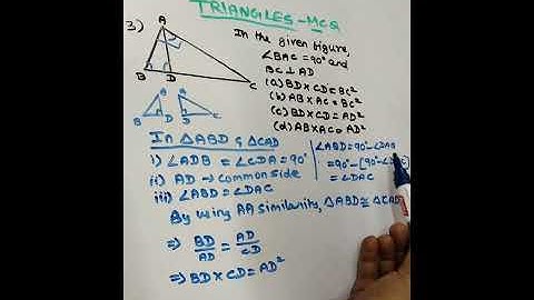 MCQ | Triangles 📐|QNO 3 | CBSE CLASS 10 | MATHS | 2021-22