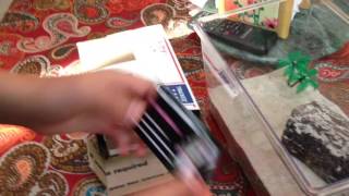 Unboxing Asbolus Verrucosus From Bugsincyberspace