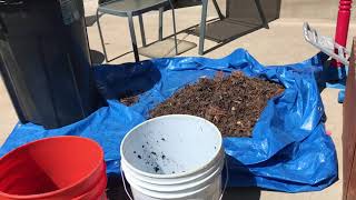 How To Remove Pine Needles From Landscape