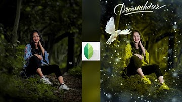 Snapseed Yellow And Bird Effect Photo Editing Tricks | Snapseed Background Colour Change Tutorial