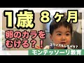 【1歳8ヶ月】はじめて卵のカラむきに挑戦【驚きの結果に!】
