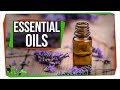 Do Essential Oils Really Work? And Why?