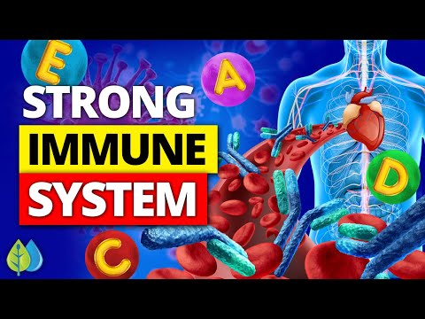 ⚡Top 13 Immunity Boosting Foods