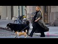 Jennifer Lawrence Filming Commercial with Dogs