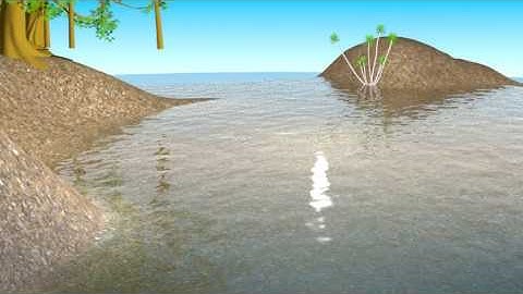 Tropical Island Water Animation
