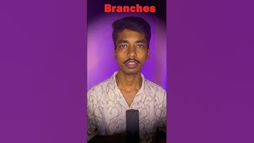 Manage Multiple Branches Easily ✅