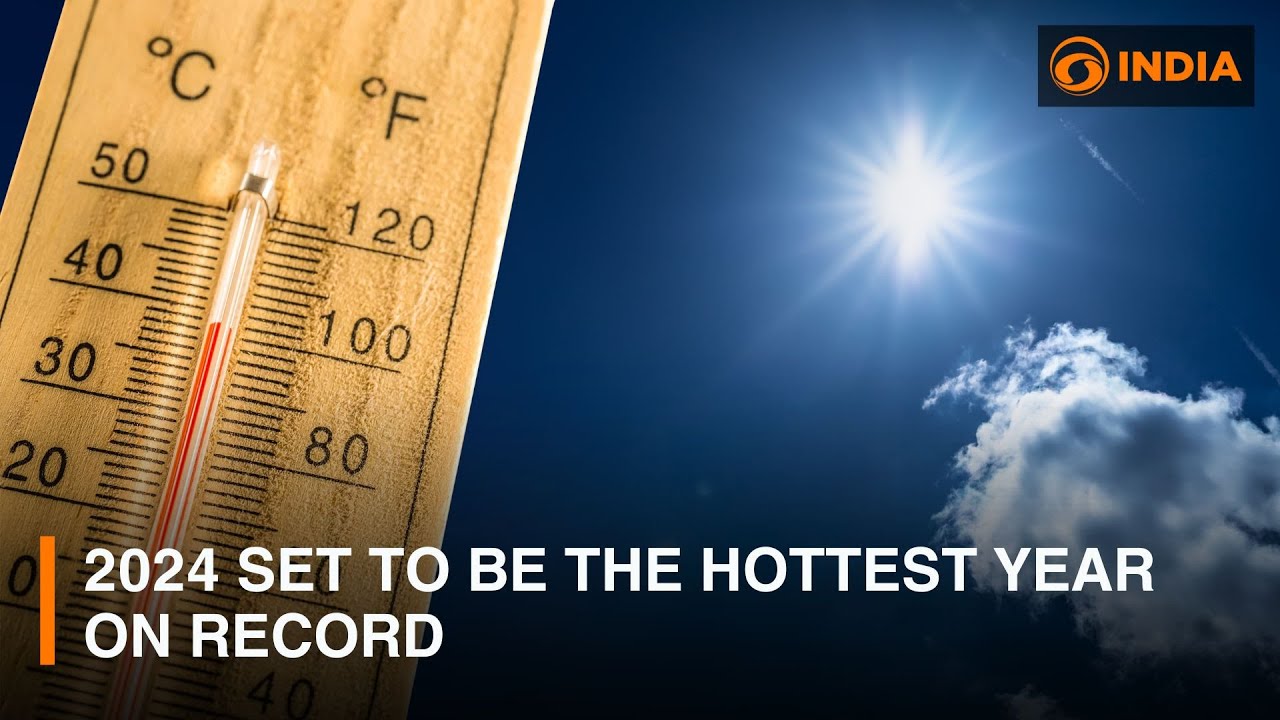 2024 set to be the hottest year on record - YouTube