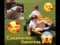 casamento as daminhas de casamento fofas e engraçadas