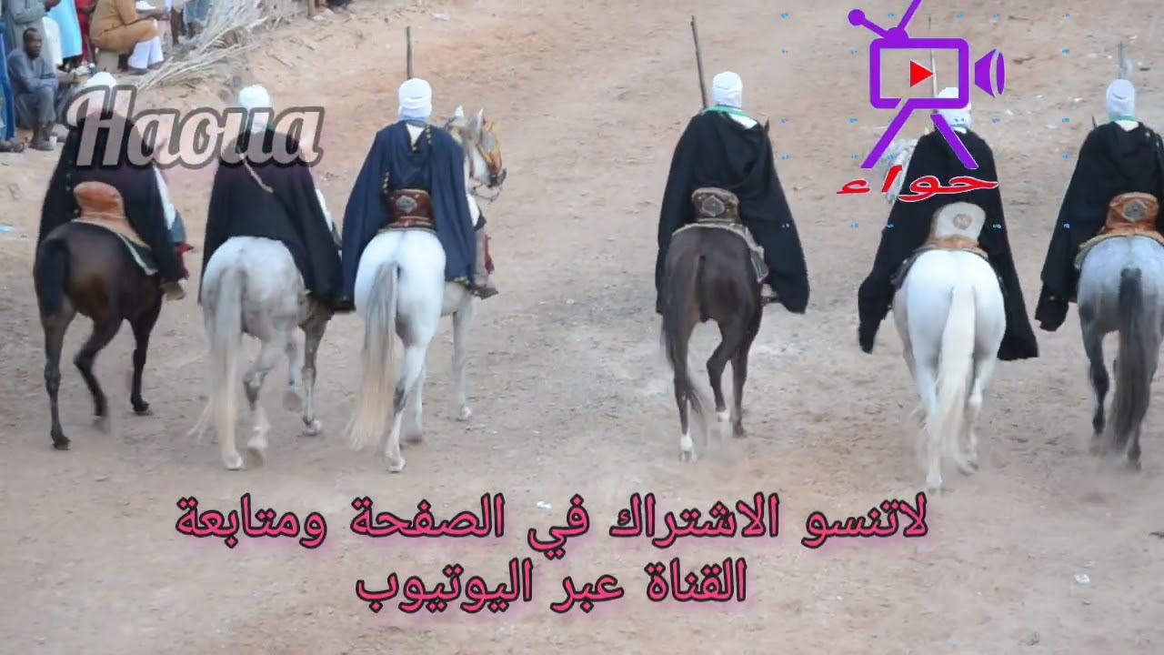 جديد محلي ورقلة خيل ورقلة تيروة 2025 الحفظ والسلامة