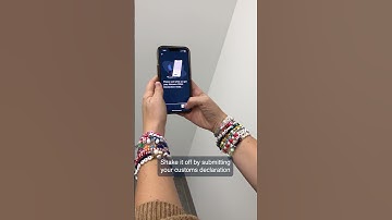 Swifties at the border: Save time with Advance Declaration!