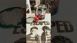 Mamma Ho Perso Laereocollezione Filmdvdblu Ray4k