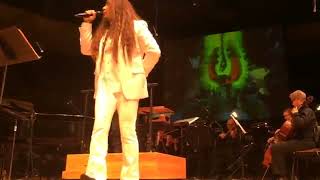 Animaniacs Theme Song Reversed