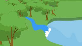 Water cycle surface runoff