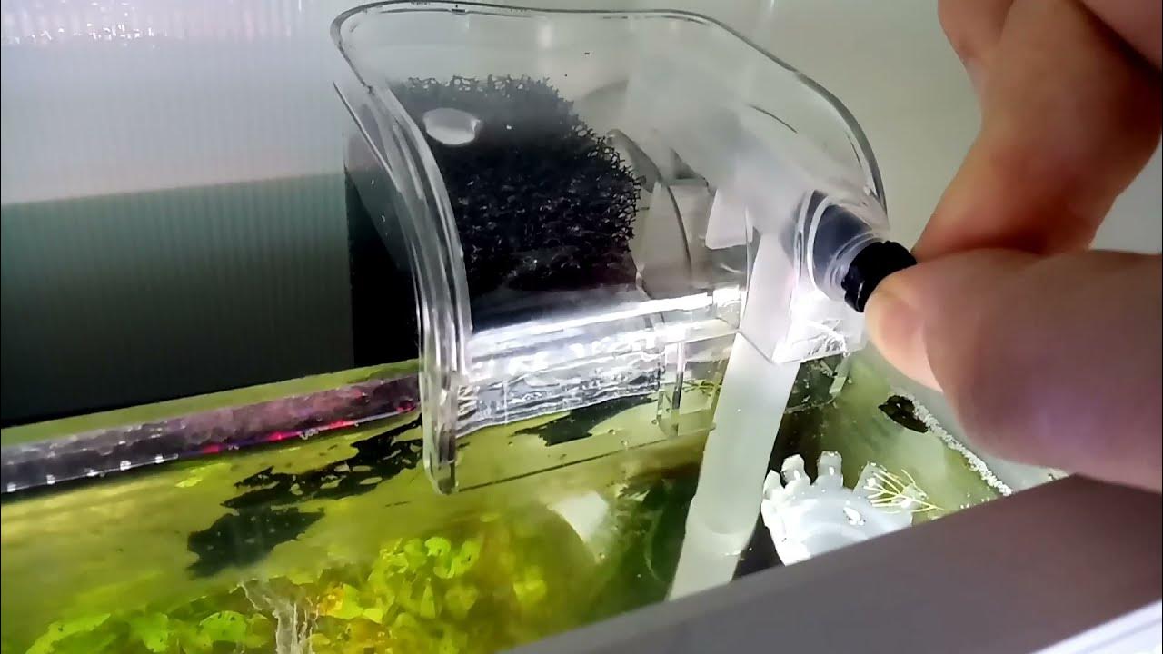 Bitkili akvaryum Şelale filtre kurulum Aquarium filter setup YouTube