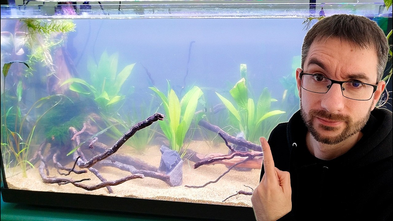 ¿Agua Turbia o Blanquecina en el Acuario? Identifica y Resuelve el Problema