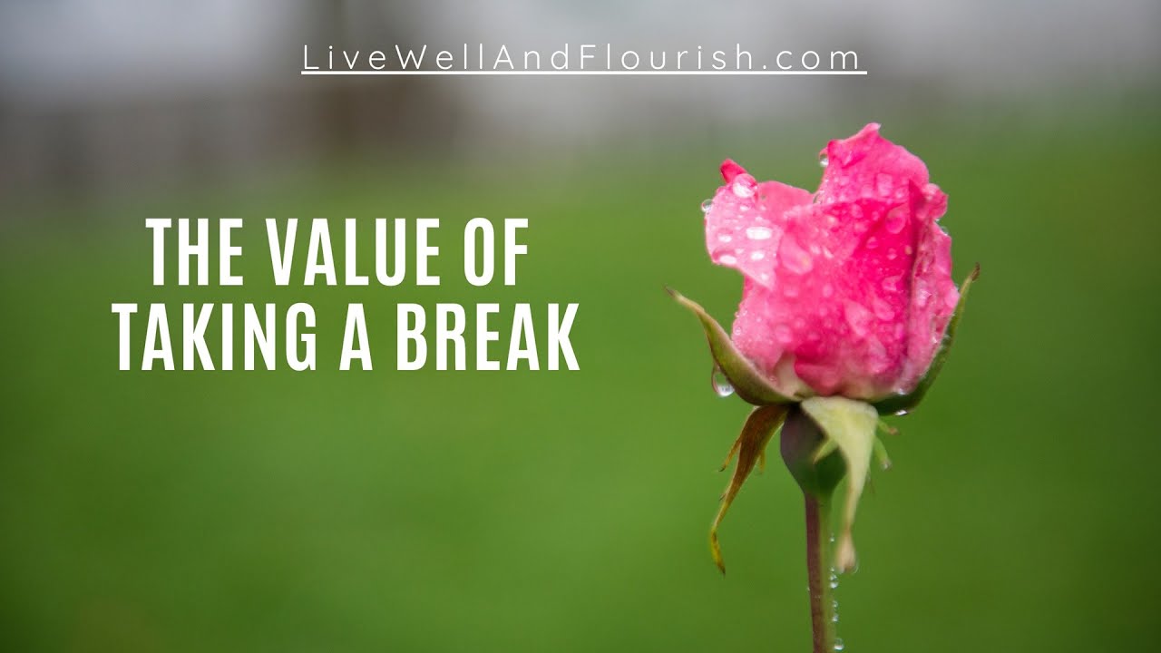 The Value Of Taking A Break