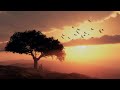 30 Minute Relaxing Music • Instant Anxiety Relief • Spa Music, Yoga Music