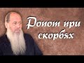 Как научиться не роптать? (о. Владимир Головин)