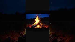 Cozy Campfire 🔥 | Relaxing Fire Sounds (No Music)