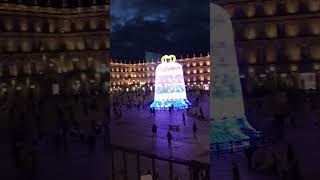 IMG 0658