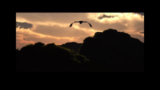 Visual Dimension Reel