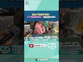大罷免運動支持