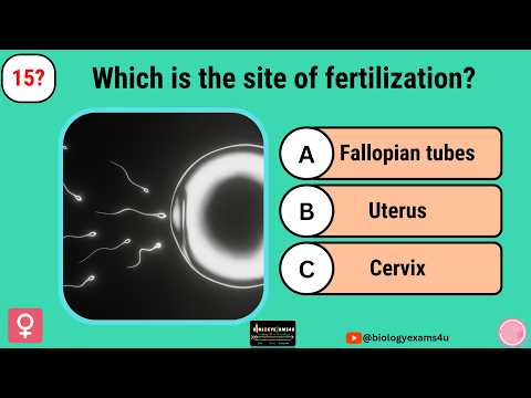 Reproductive Quizlet