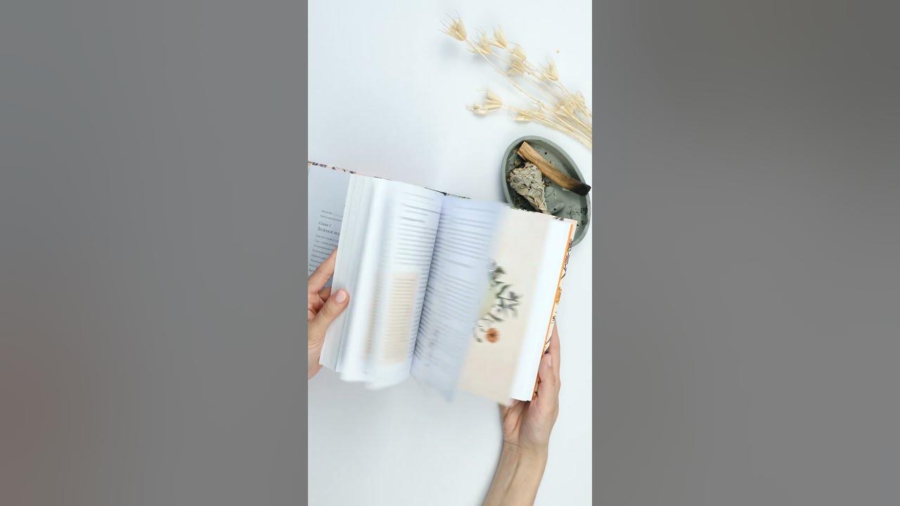 Сад Зеленой ведьмы: полное руководство по созданию и поддержанию ...