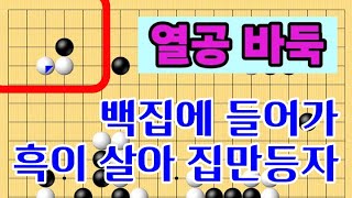 열공바둑두기 타이젬 5단기보보기입니다  #바둑두기 #바둑초보 #바둑배우기 #gameplay #games #실제둔바둑보기 #게임 #왕초보