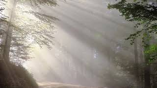 Poetry Performed Episode 006 - A Thanksgiving Poem by Paul Laurence Dunbar