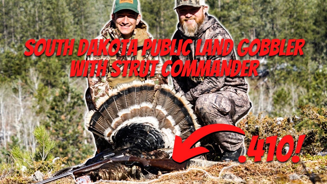 TURKEY HUNTING South Dakota PUBLIC LAND with STRUT COMMANDER & a .410