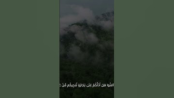تلاوة خاشعة من سورة الصف للقارئ | محمد صيام/ غزة - فلسطين 1444ه‍