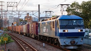 2025.9/6 3064レ(＋4時間) EF210-101[岡]＋コキ20車