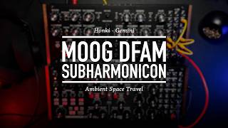 Honki - Gemini (Moog Subharmonicon & DFAM Ambient Performance)