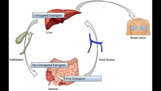 214 Hz : Cancer Carcinoma Liver Fermentative (RIFE Healing Frequency)