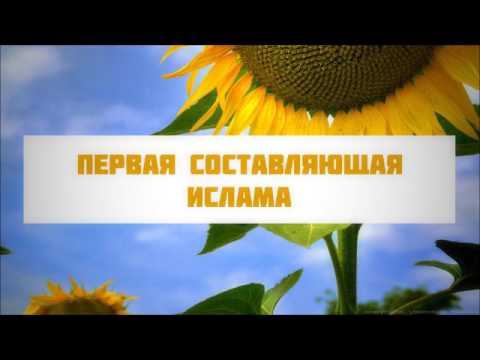 Первая составляющая Ислама || Абу Яхья Крымский