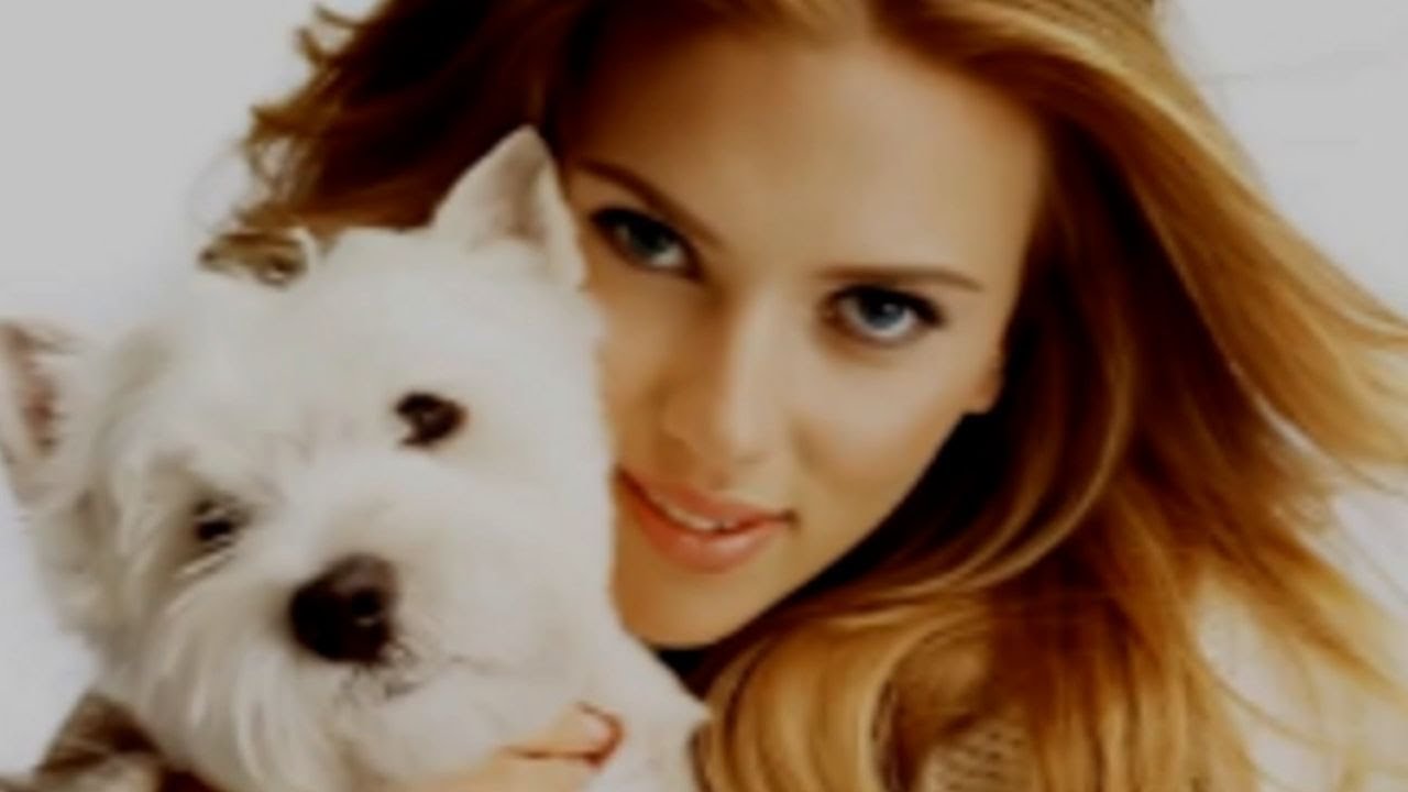 Can Dog Sense Negative Energy