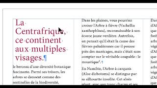 SESSION B juin2024 INDESIGN BASES MARDI 13 , Adobe, une formation par Thierry Dambermont
