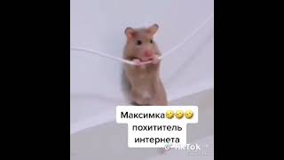 #похитительинтернета😄😄😄