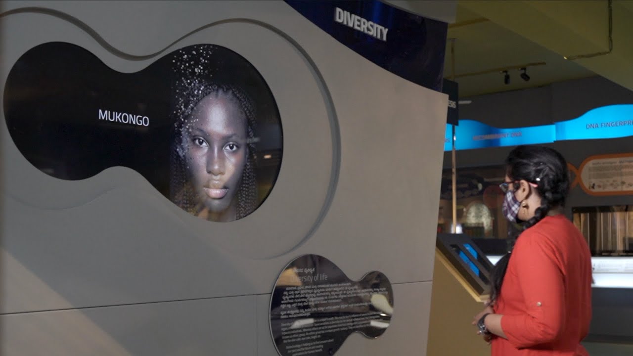 "The Ethnic Origins Of Beauty" exhibited in the Indian National Museum of Science.